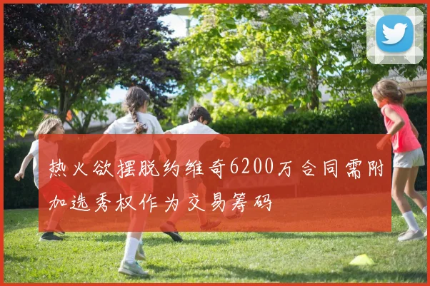 热火欲摆脱约维奇6200万合同需附加选秀权作为交易筹码