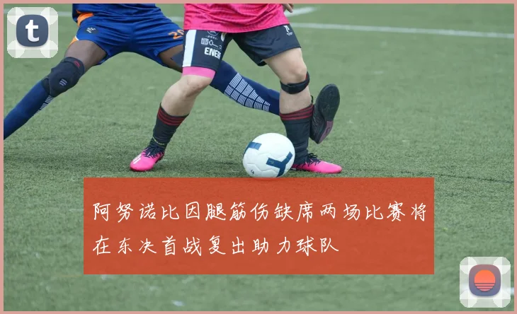 阿努诺比因腿筋伤缺席两场比赛将在东决首战复出助力球队