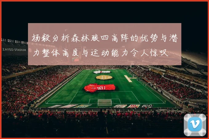 杨毅分析森林狼四高阵的优势与潜力整体高度与运动能力令人惊叹