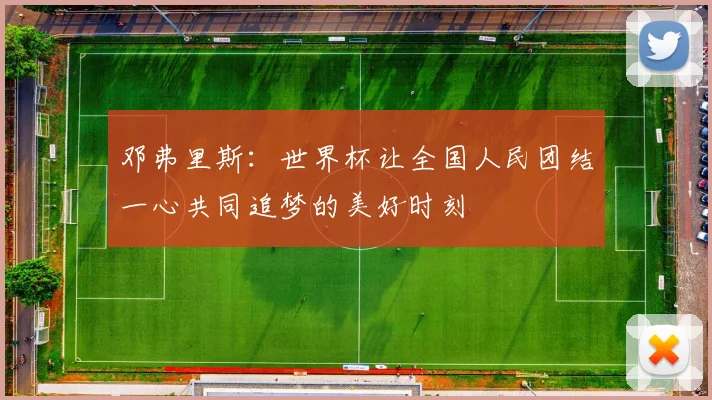 邓弗里斯：世界杯让全国人民团结一心共同追梦的美好时刻